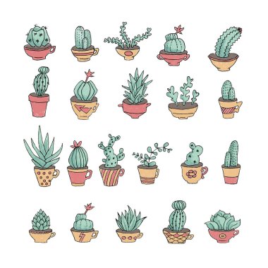 Meksika tarzı kaktüs