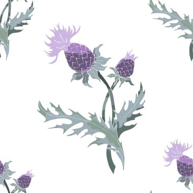 Thistle spike çiçek el çekilmiş seamless modeli