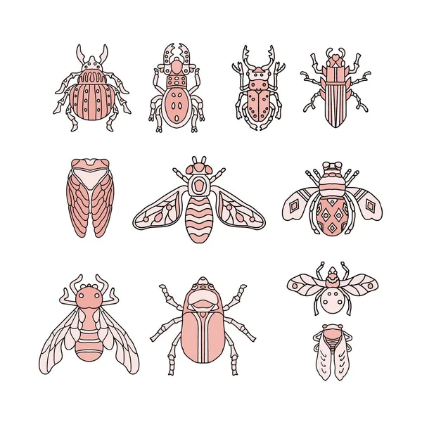 Escarabajos, marilos, insectos mano dibujo garabatos conjunto — Archivo Imágenes Vectoriales