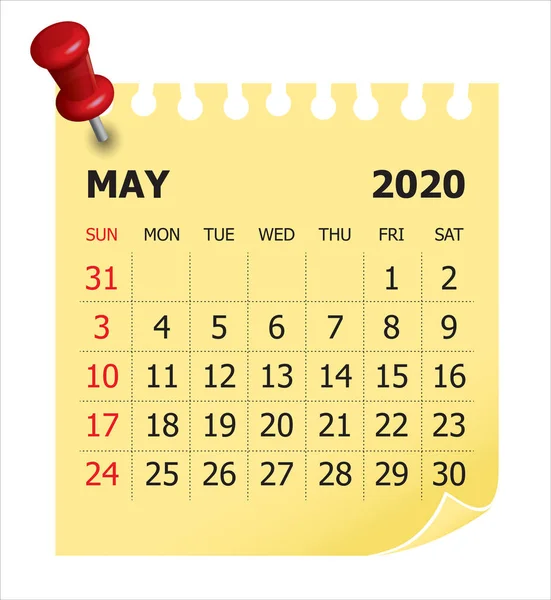 Maio 2020 ilustração vetor calendário mensal — Vetor de Stock