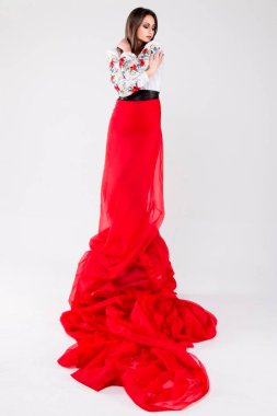 Ukrayna ulusal giysili kız. Modern tarz, kıyafetler, güzel, şık, lüks