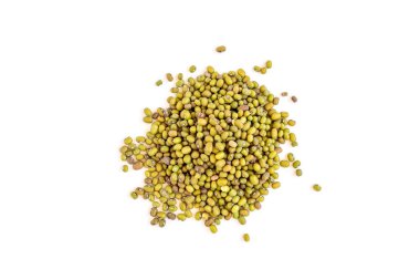 Beyaz arka plan üzerinde izole Mung.