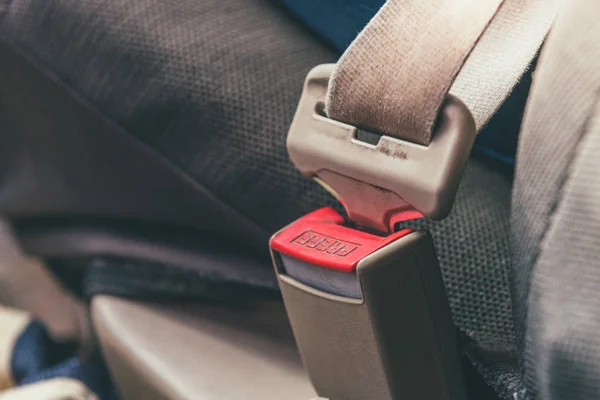 Cinturón Seguridad Coche Asiento Coche Gris — Foto de Stock