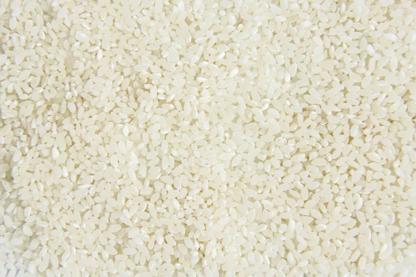 Rijst Geïsoleerd Witte Achtergrond — Stockfoto