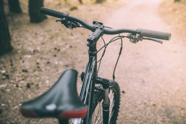 Dağ bisikleti ormandaki ağaçta duruyor. Bisikletle seyahat ve sağlıklı yaşam tarzı konsepti.