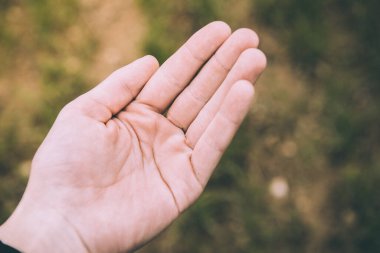 Yeşil çimen arka planında bir kadın eli, fotokopi alanı olan üst görünüm.