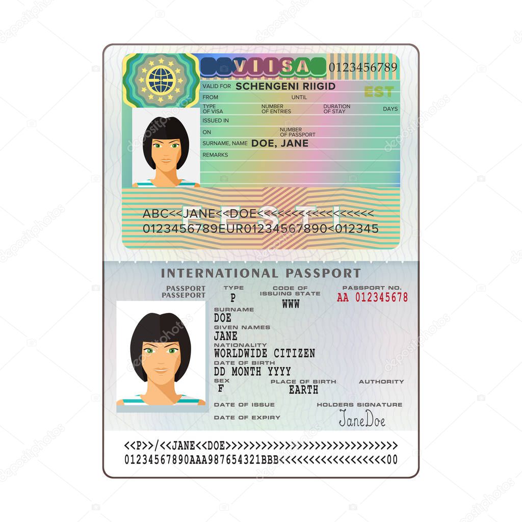 Vector international open passport with Estonia visa