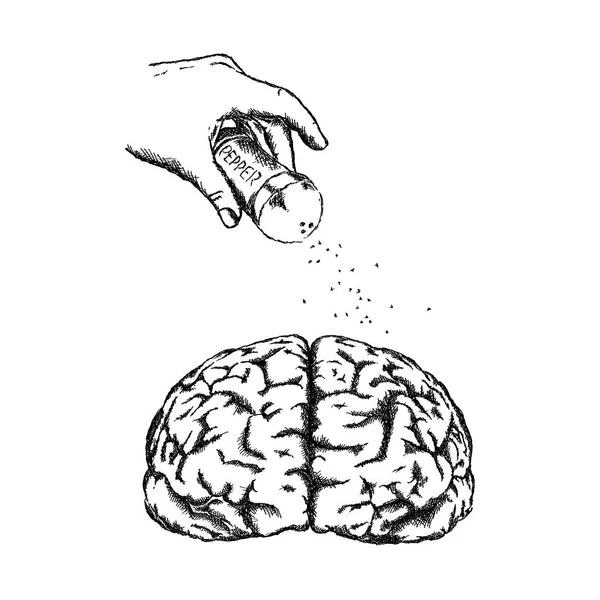 Vektorové Koncept Kreativity Lidský Mozek — Stockový vektor