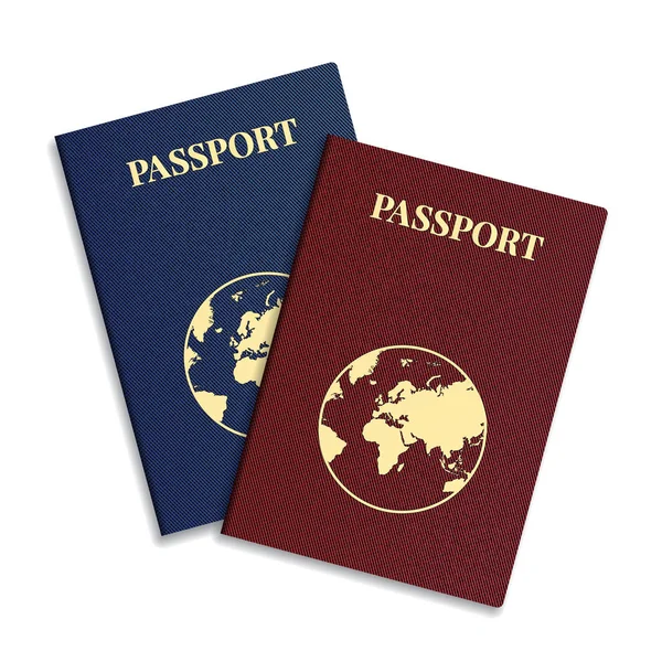 Passeport International Vectoriel Avec Globe — Image vectorielle