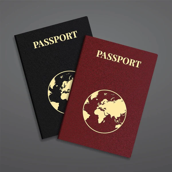 Passeport International Vectoriel Avec Globe — Image vectorielle