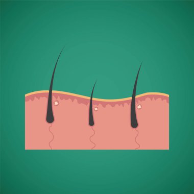 Saç Bakımı ve büyüme besleyici kavramı vektör