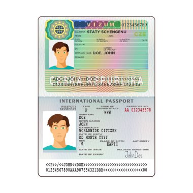 Çek Cumhuriyeti vizesi ile vektör uluslararası açık pasaportu