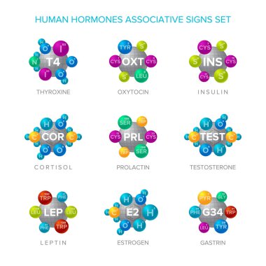 İnsan hormonları işaretleri ilişkisel moleküler yapıları kümesi ile vektör