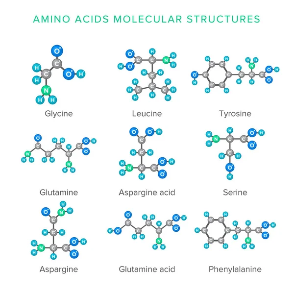 Estructuras moleculares vectoriales de aminoácidos aislados en conjunto blanco — Archivo Imágenes Vectoriales