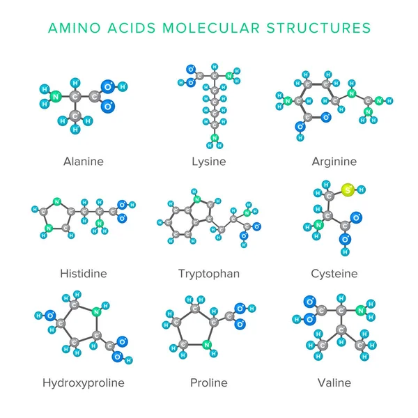 Vector molecular structures of amino acids isolated on white set — Stock Vector