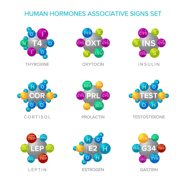 Hormonas humanas signos vectoriales con estructuras moleculares asociativas conjunto — Vector de stock