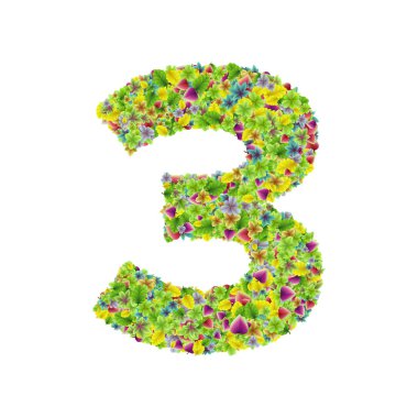 Vektör renkli botanik bahçe taze yaprakları yazı tipi, sayı 3