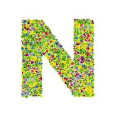 Vektör renkli botanik bahçe taze yaprakları yazı tipi, mektup N