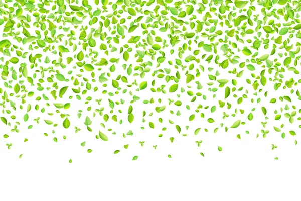 Vector Fresh Spring Green lämnar bakgrund för gratulationskort i platt stil — Stock vektor
