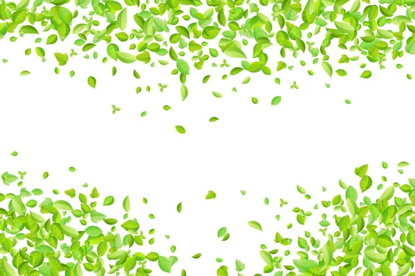 Vector verde primavera fresco hojas de fondo para la tarjeta de felicitación en estilo plano — Vector de stock