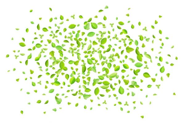 Vector Fresh Spring Green lämnar bakgrund för gratulationskort i platt stil — Stock vektor