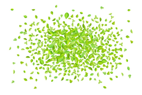 Vector verde primavera fresco hojas de fondo para la tarjeta de felicitación en estilo plano — Vector de stock