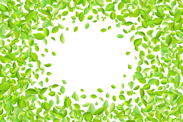 Vector fresh spring green leaves background for greeting card in flat style