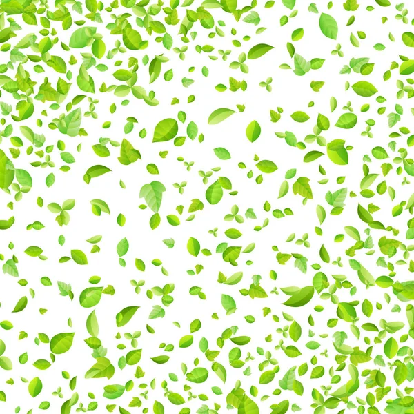 Vector verde primavera fresco hojas de fondo para la tarjeta de felicitación en estilo plano — Archivo Imágenes Vectoriales