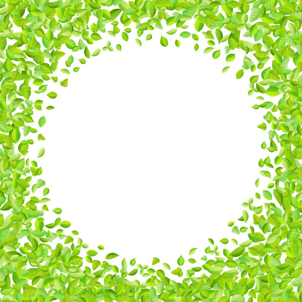 Vector fresh spring green leaves background for greeting card in flat style
