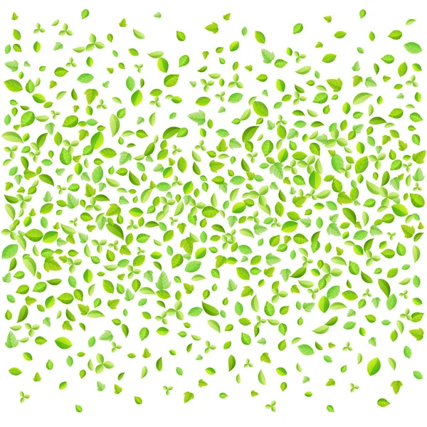Vektor frisches Frühlingsgrün Blätter Hintergrund für Grußkarte in flachem Stil — Stockvektor