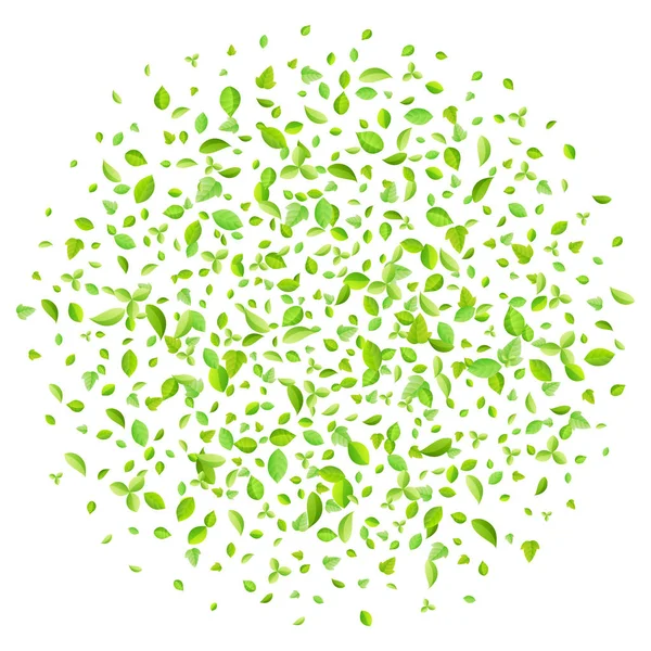 Διάνυσμα φρέσκια άνοιξη πράσινο φύλλα φόντο για Ευχετήρια κάρτα σε επίπεδη στυλ — Διανυσματικό Αρχείο