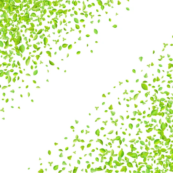 Vector verde primavera fresco hojas de fondo para la tarjeta de felicitación en estilo plano — Vector de stock