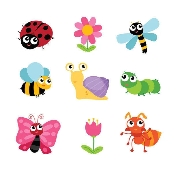 Insects Character Vector Design — Stock Vector