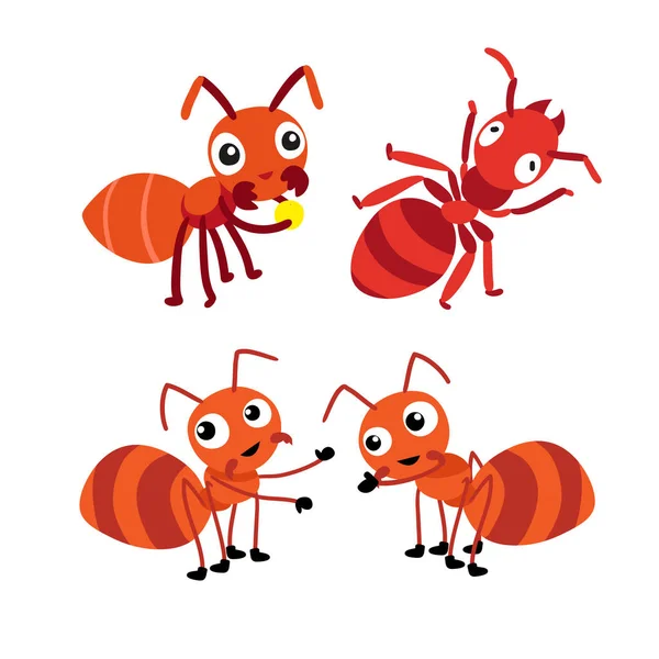 Ant Vector Collectie Design Dieren Vector Design Ant Characterdesign — Stockvector