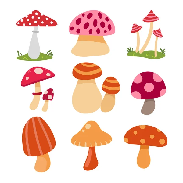 mantar vektör toplama tasarımı, mantar cabukşalterli, mantar toplama tasarım vektör