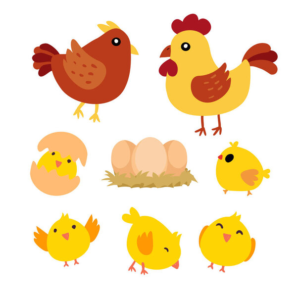 chicken character vector design, chick vector collection design