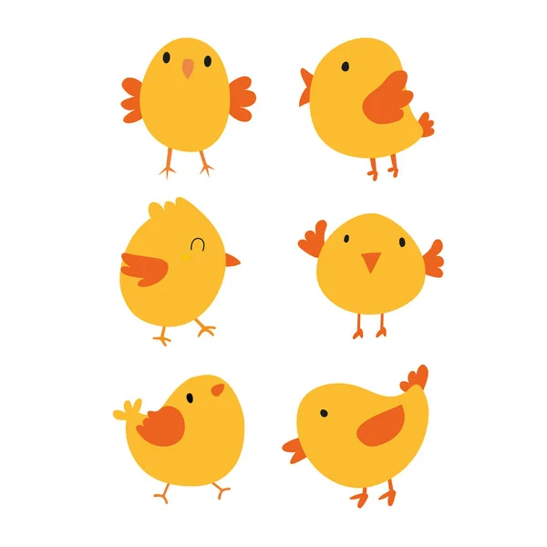 Векторный Дизайн Цыплят Векторный Дизайн Животных Коллекция Диких Животных — стоковый вектор
