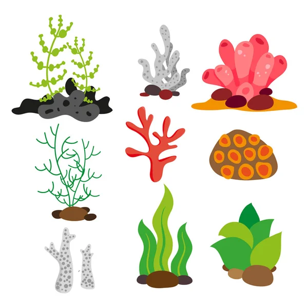 サンゴのベクトル コレクション設計 海の植物のベクトルのコレクションのデザイン — ストックベクタ