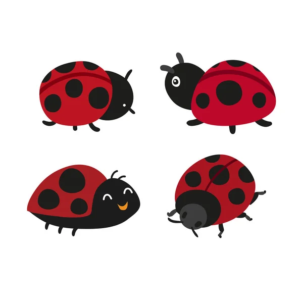 Ladybug Vector Collection Design Ladybird Vector Collection Design — Stock Vector