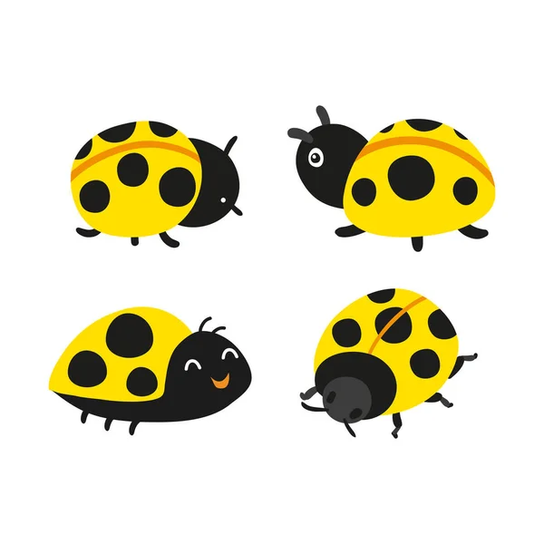 Ladybug Vector Collection Design Ladybird Vector Collection Design — Stock Vector