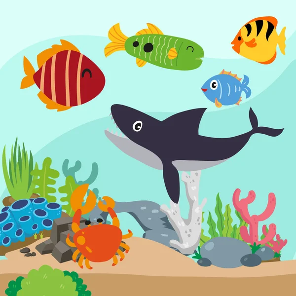 okyanus arka plan vektör tasarımı, deniz arka plan vektör tasarımı