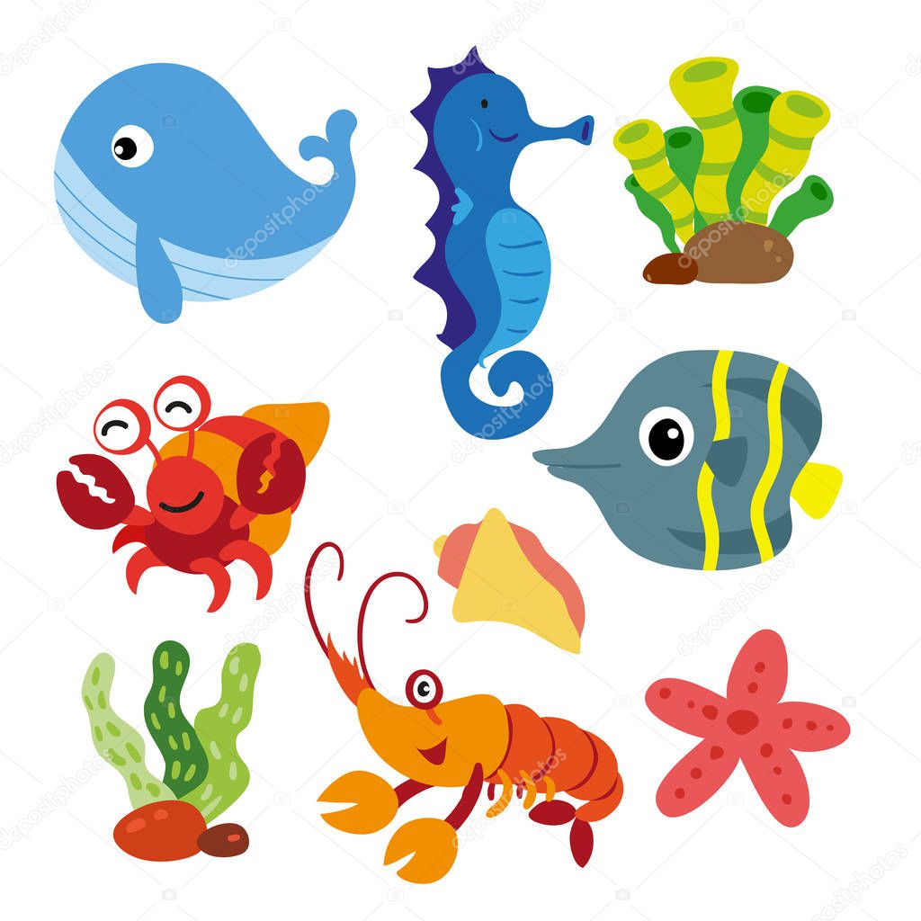marine life vector collection design, ocean animals vector design