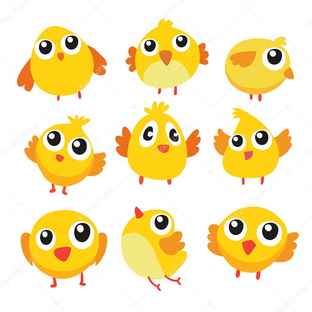 chick vector collection design, chick character vector design