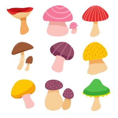 mantar vektör toplama tasarımı, bitkiler vektör toplama tasarım