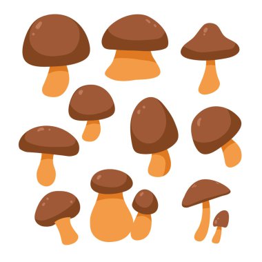 mantar vektör toplama tasarımı, bitkiler vektör toplama tasarım