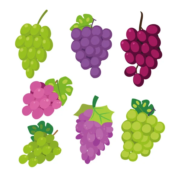 ブドウのベクトル コレクション デザイン フルーツ コレクション 食品健康セット — ストックベクタ
