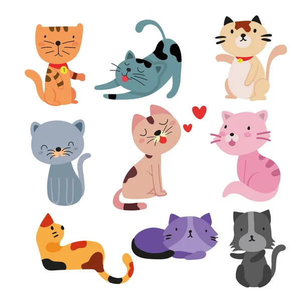 Cat Character Vector Design Animals Vector Collection Design — Stock Vector