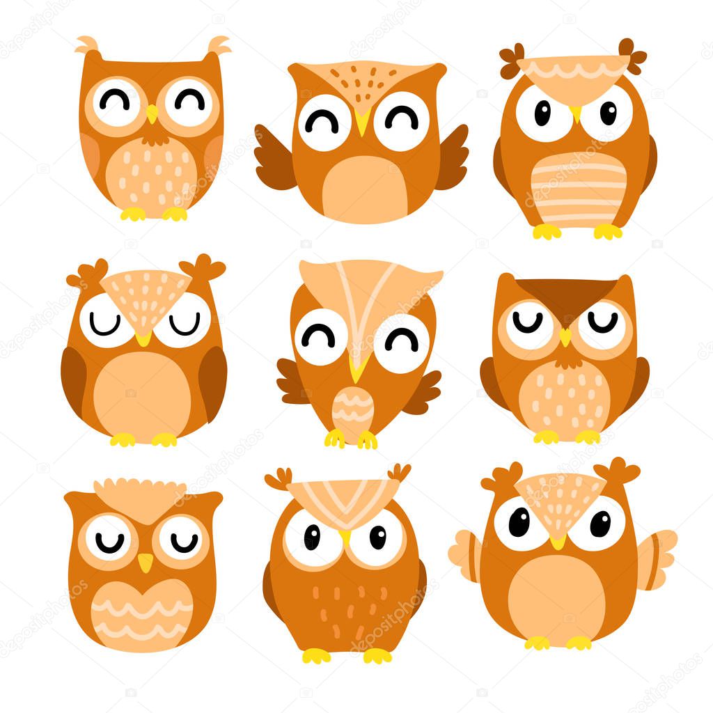 owl character vector design, owl vector collection design
