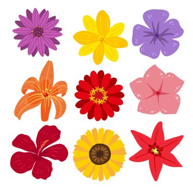 çiçek vektör toplama tasarım, çiçek vektör toplama tasarım