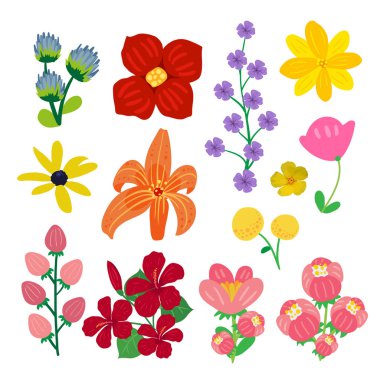 çiçek vektör toplama tasarım, çiçek vektör toplama tasarım